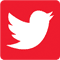 social-icon